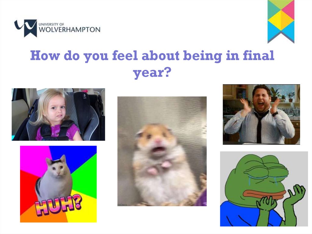 How do you feel about being in final year?