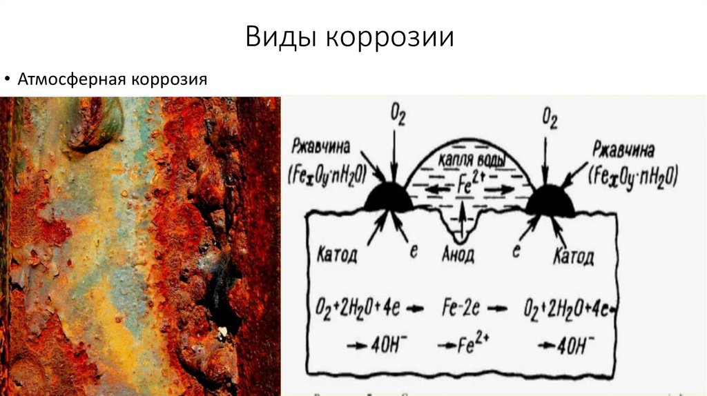 Виды коррозии