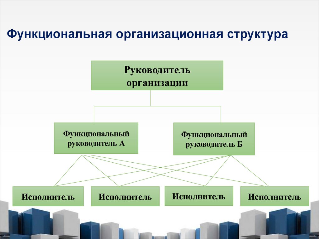 Функциональная организационная структура
