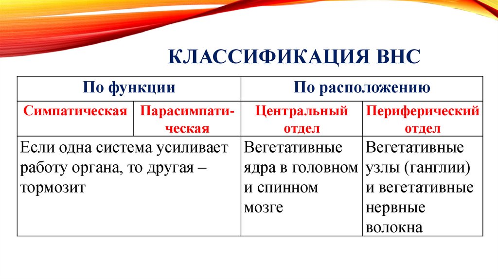 КЛАССИФИКАЦИЯ ВНС