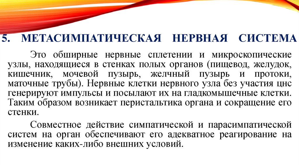 5. Метасимпатическая нервная система