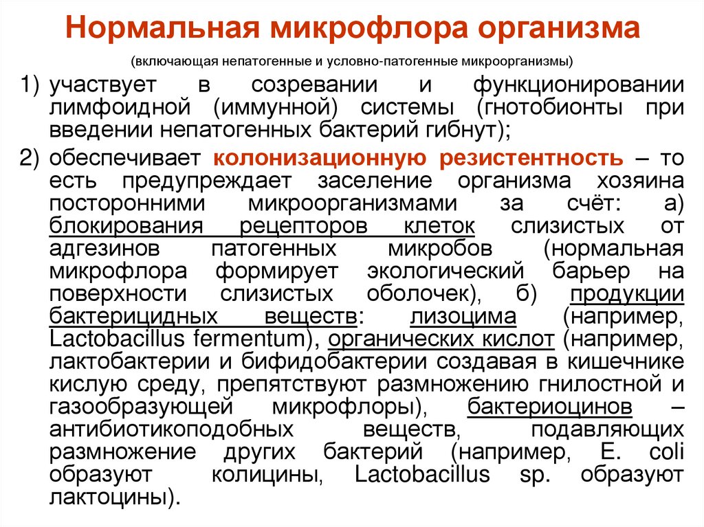 Нормальная микрофлора организма