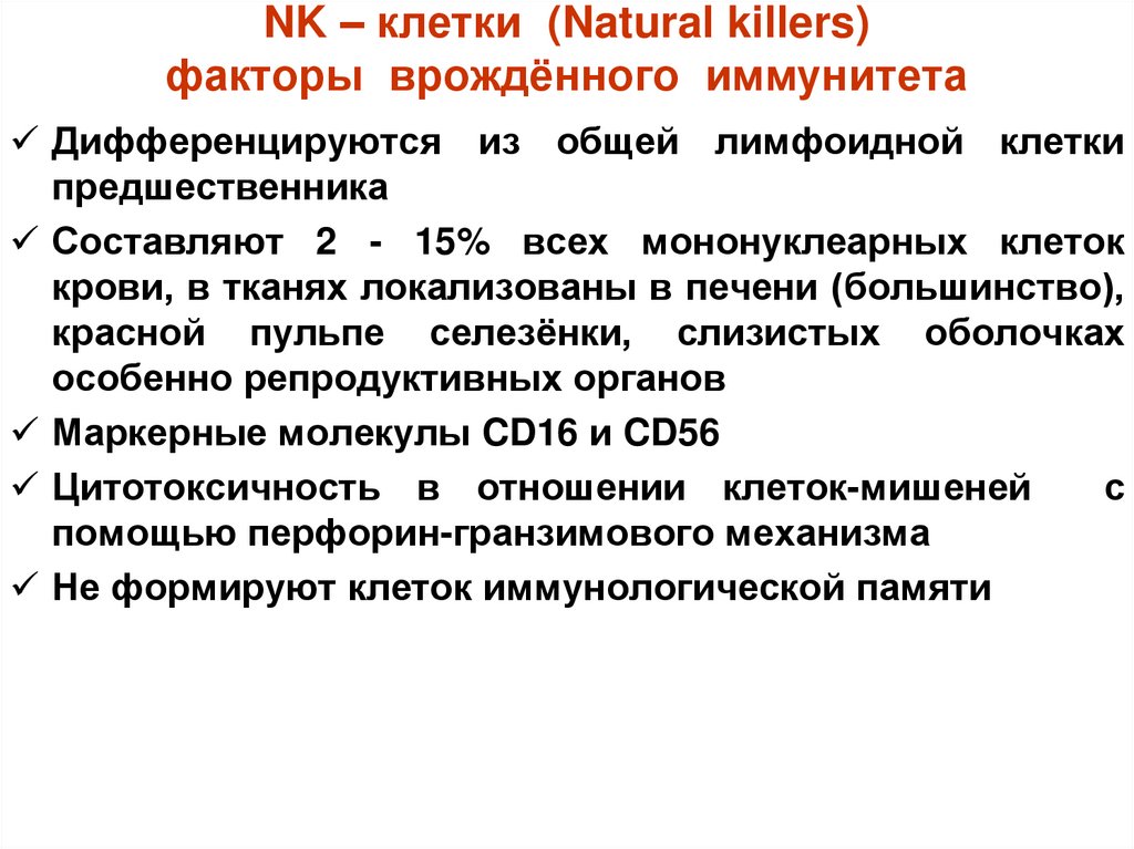NK – клетки (Natural killers) факторы врождённого иммунитета