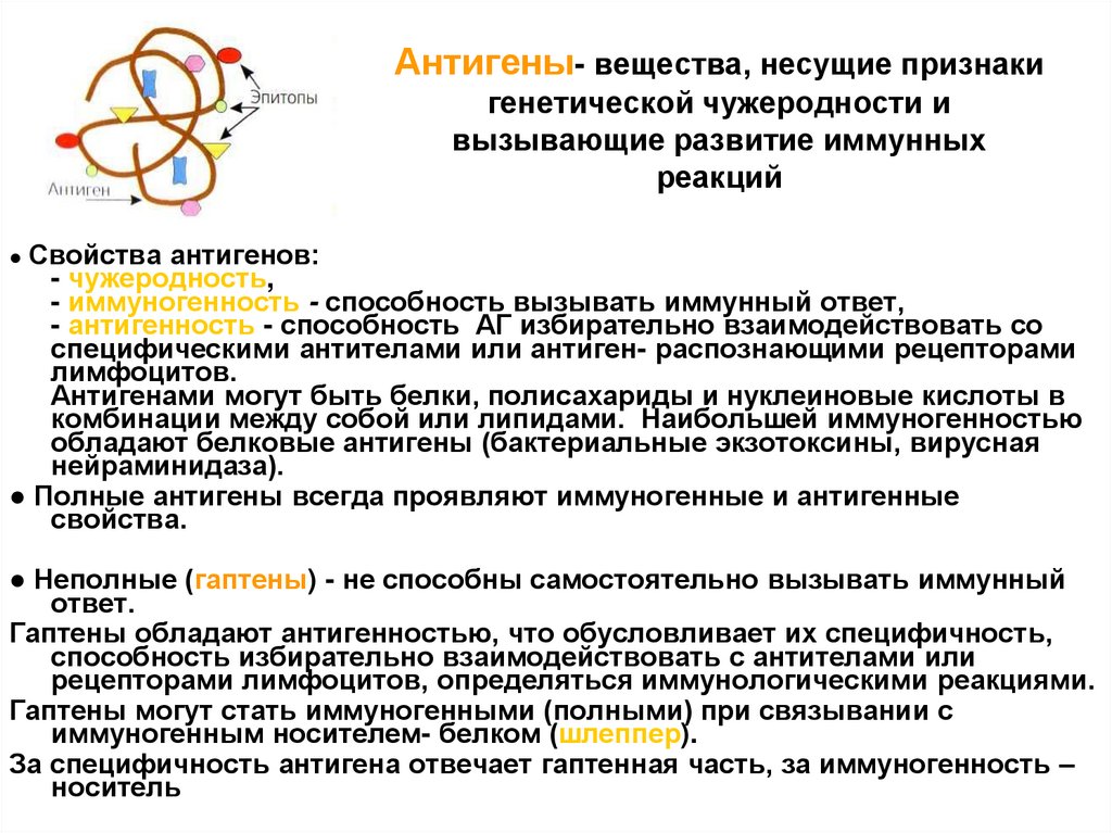 Антигены- вещества, несущие признаки генетической чужеродности и вызывающие развитие иммунных реакций