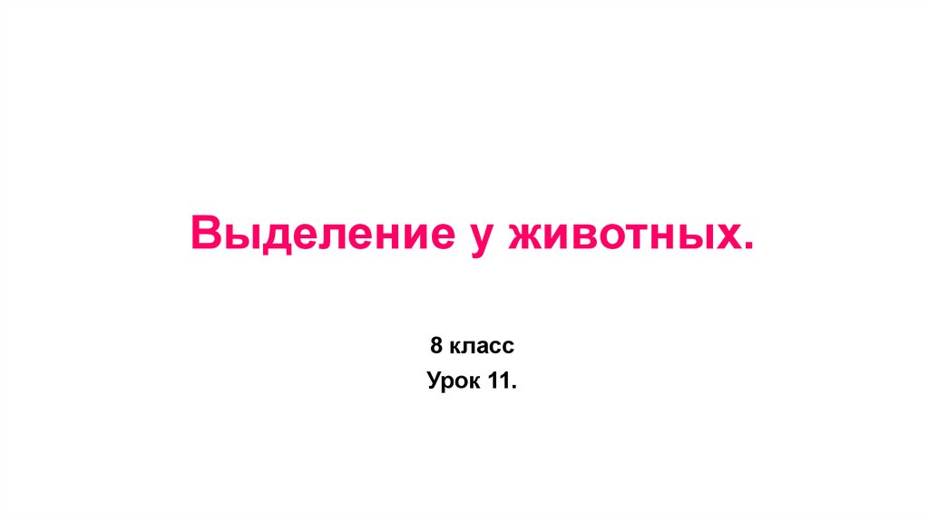 Выделение у животных.