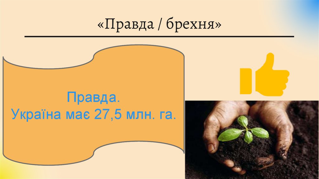 «Правда / брехня»