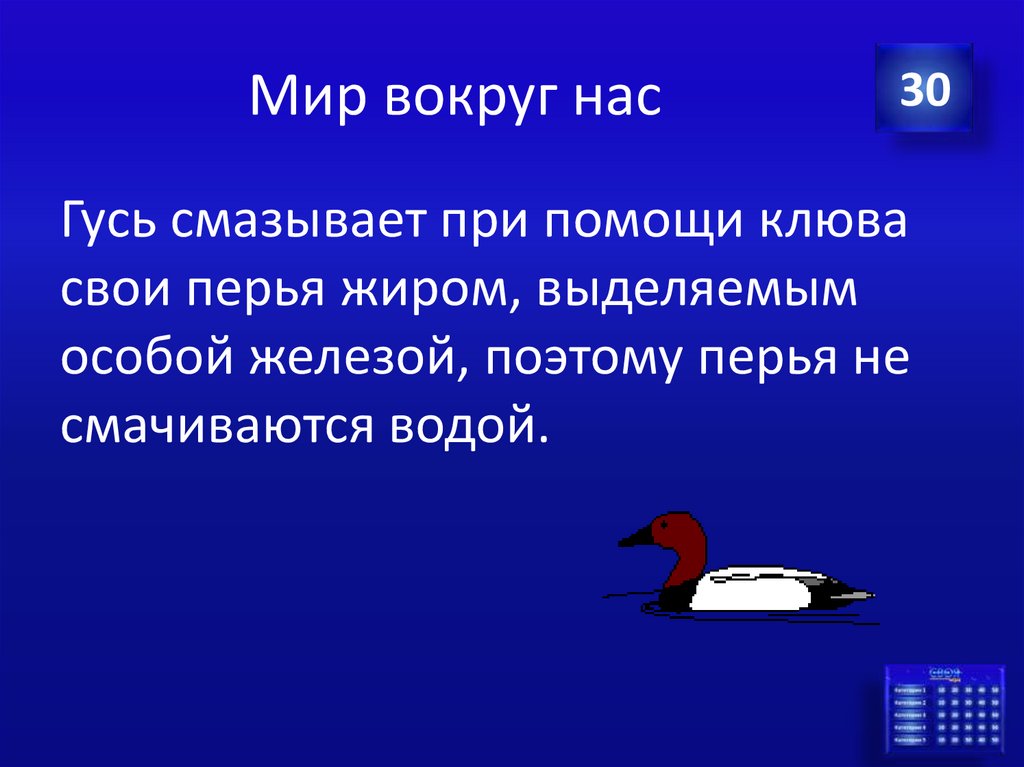 Мир вокруг нас