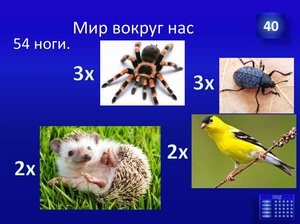 Мир вокруг нас