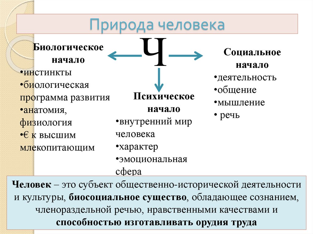 Природа человека