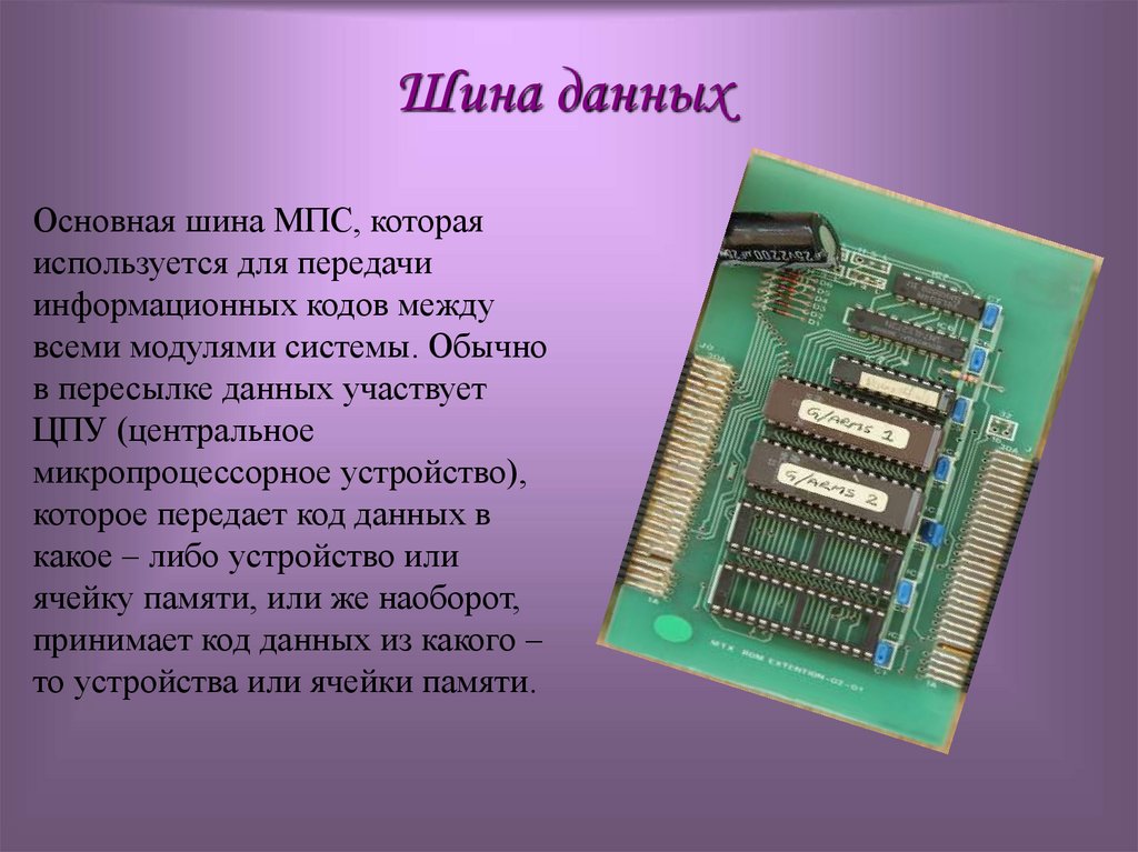 Шина данных