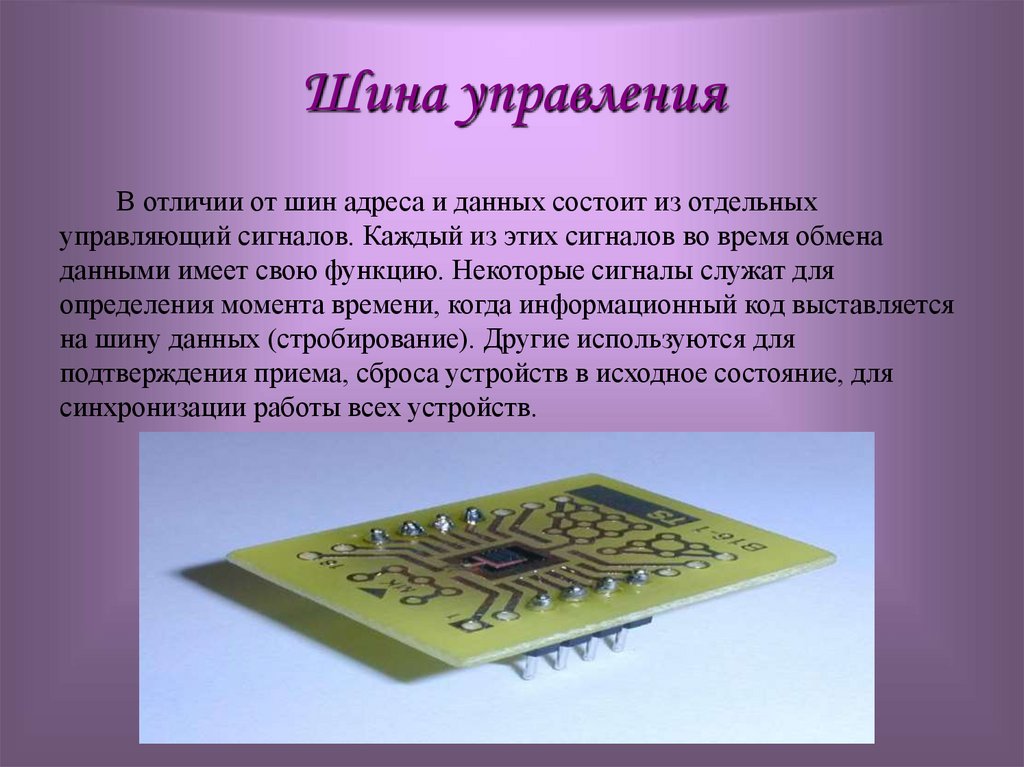 Шина управления