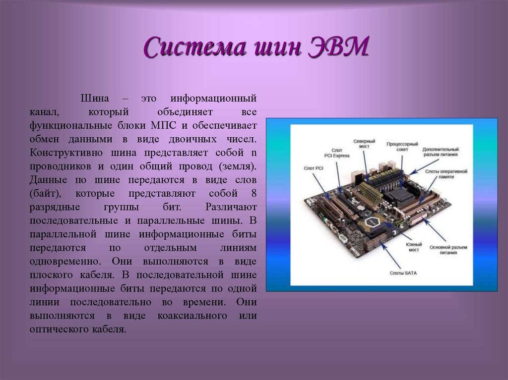 Система шин ЭВМ