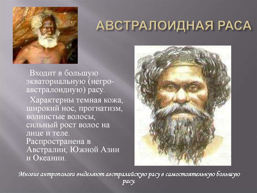 АВСТРАЛОИДНАЯ РАСА