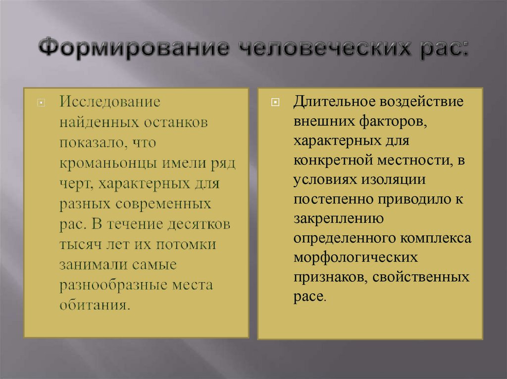 Формирование человеческих рас: