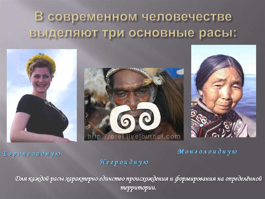 В современном человечестве выделяют три основные расы: