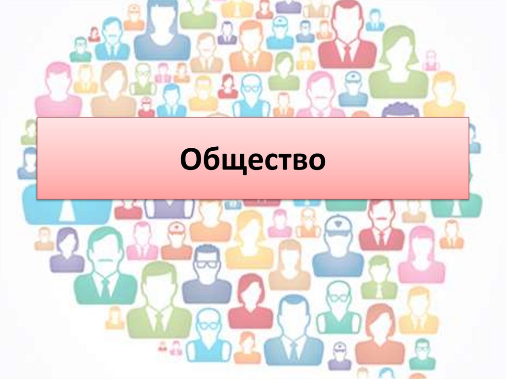 Общество