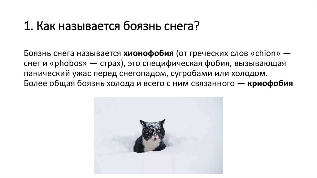 1. Как называется боязнь снега?