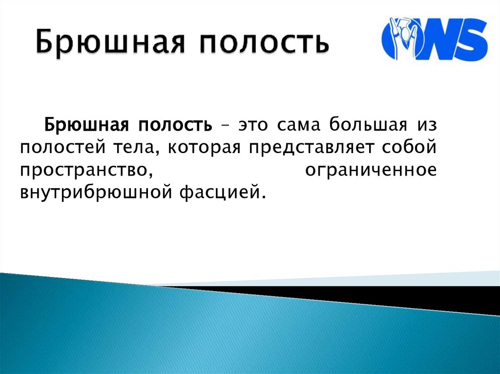 Брюшная полость