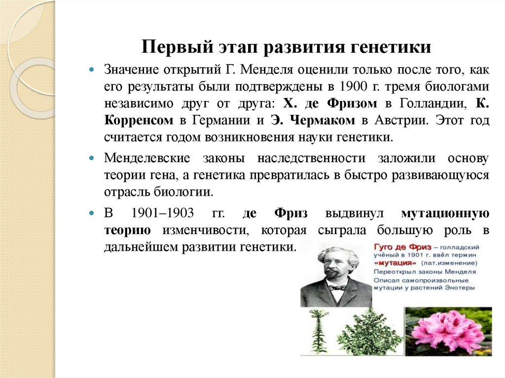 Первый этап развития генетики