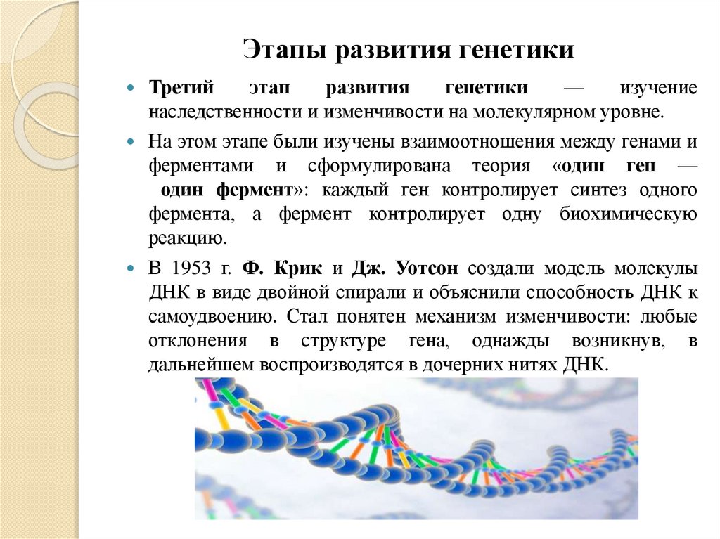 Этапы развития генетики