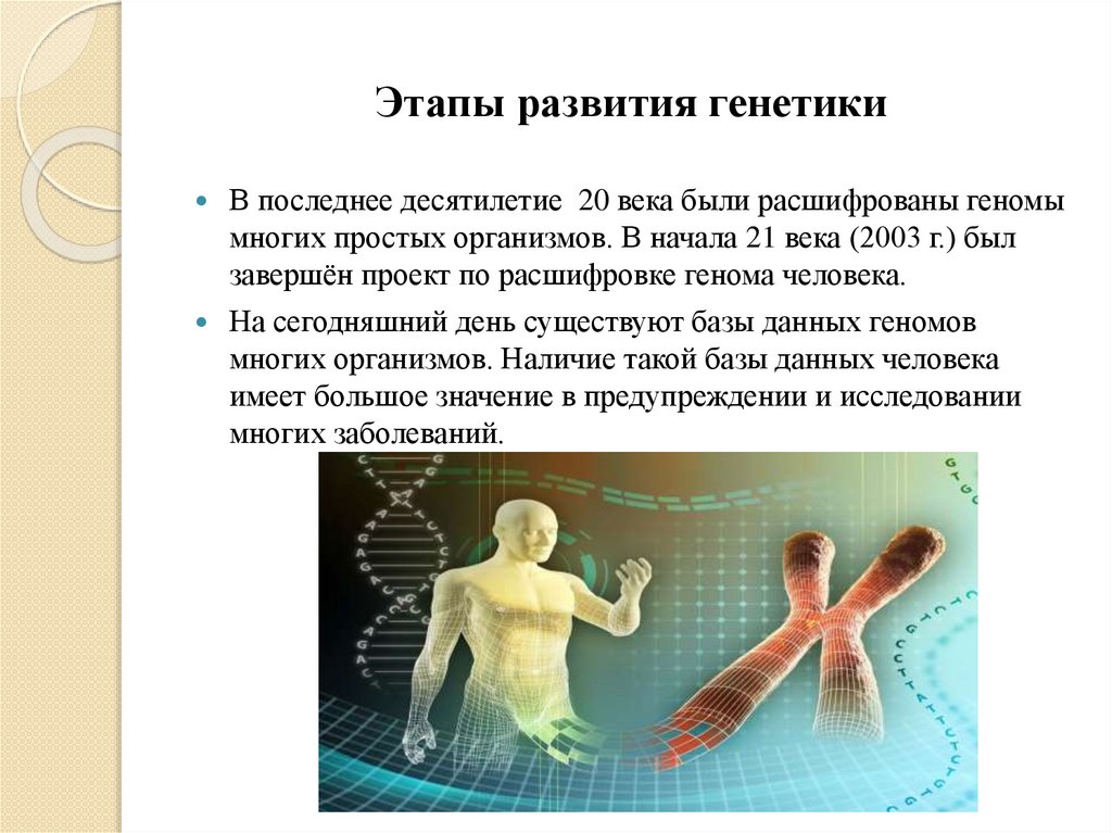 Этапы развития генетики