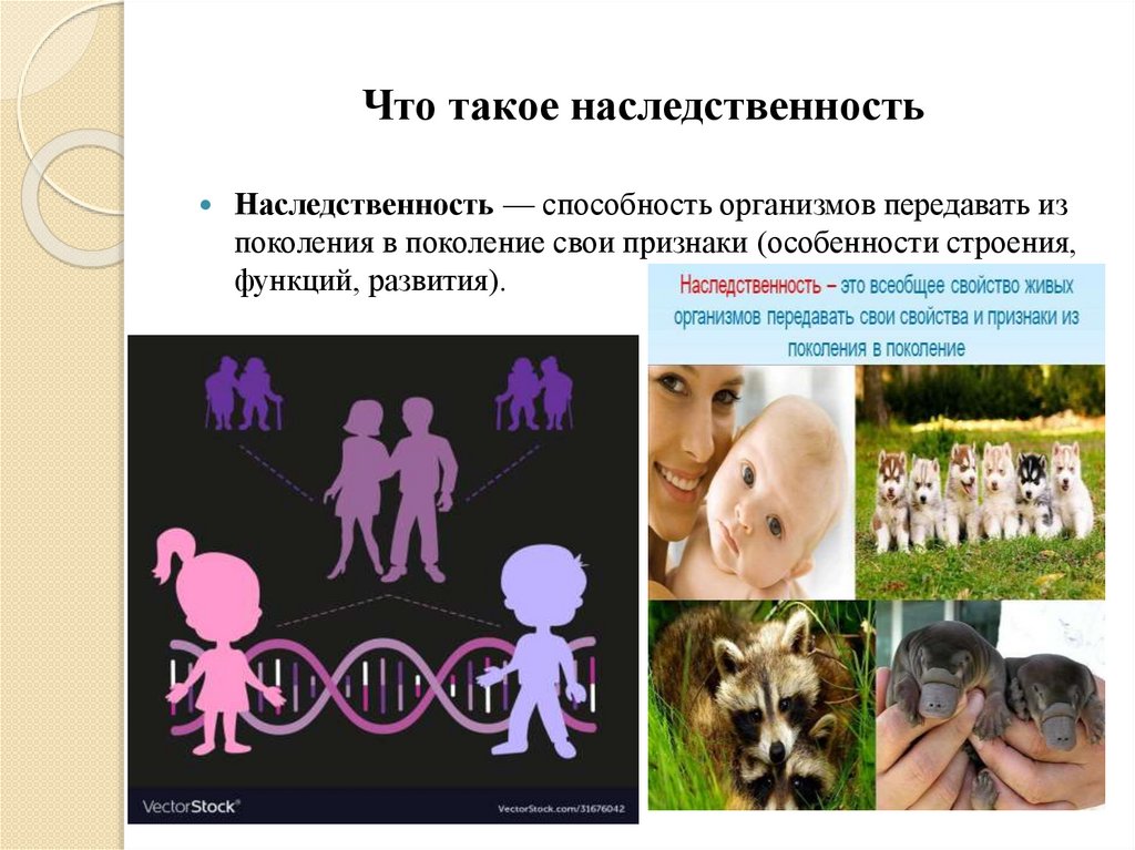 Что такое наследственность