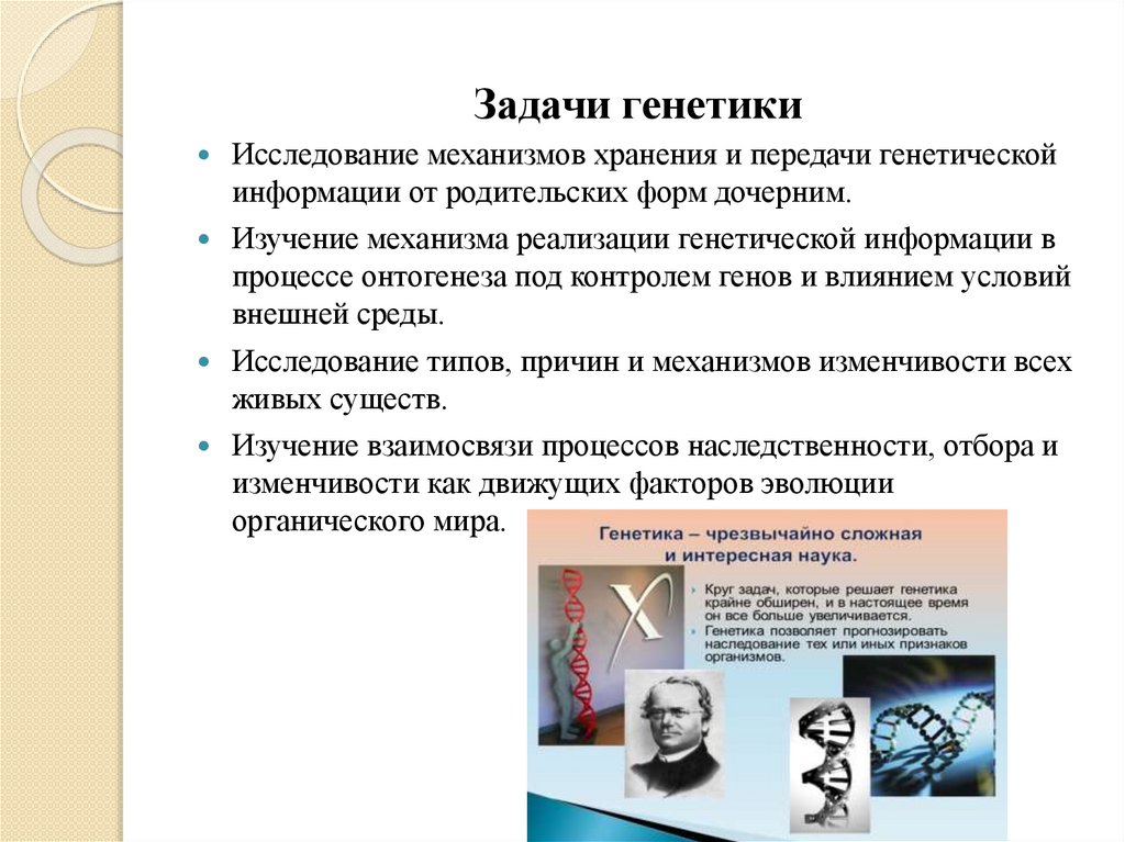 Задачи генетики