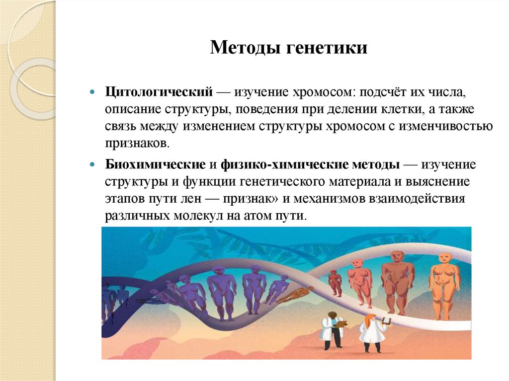 Методы генетики