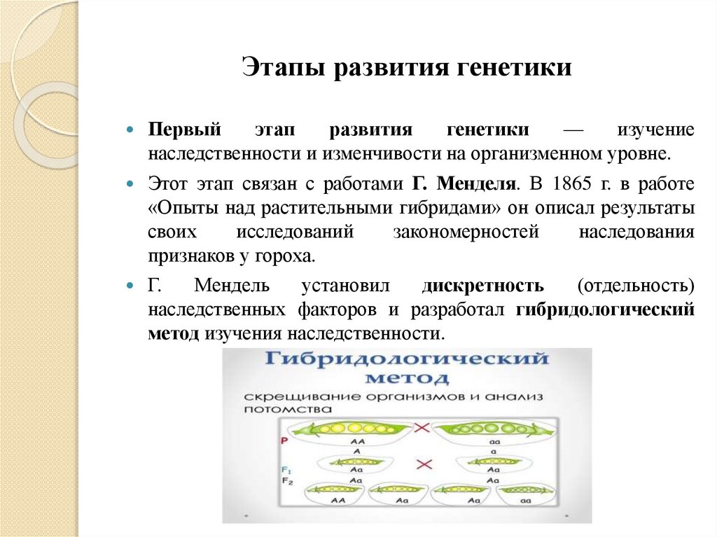 Этапы развития генетики
