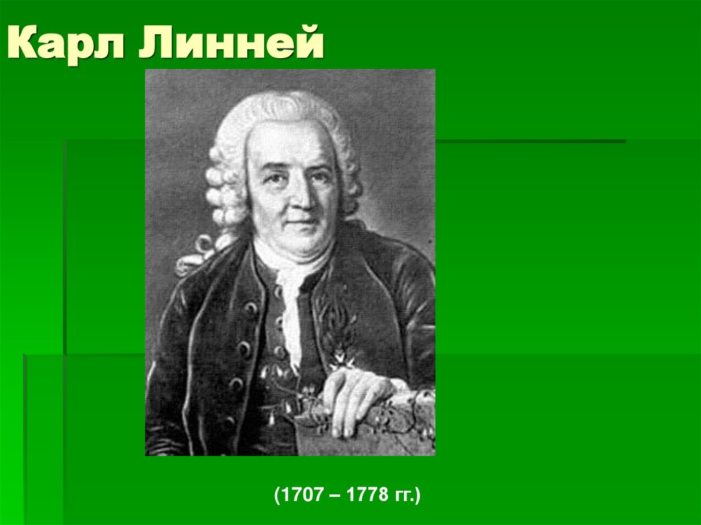 Карл Линней