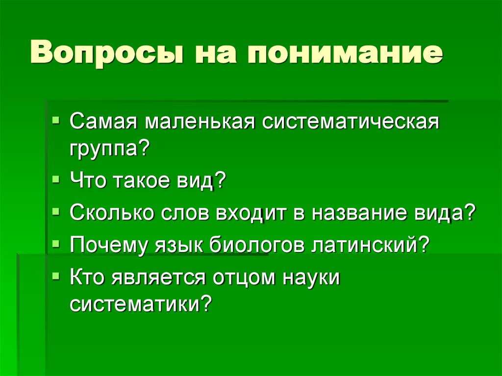 Вопросы на понимание