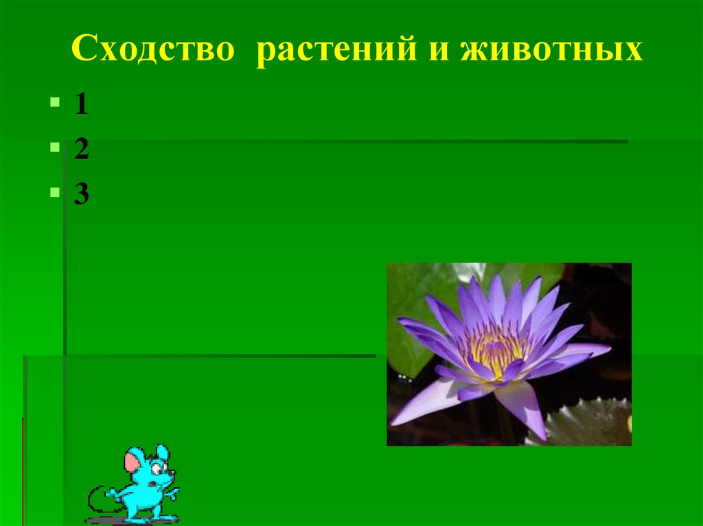 Сходство растений и животных