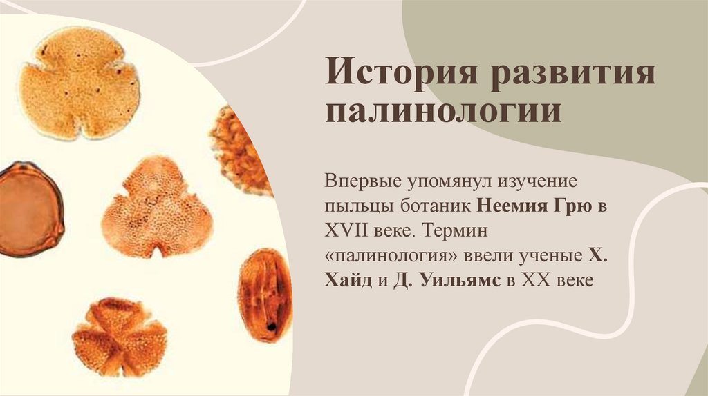 История развития палинологии