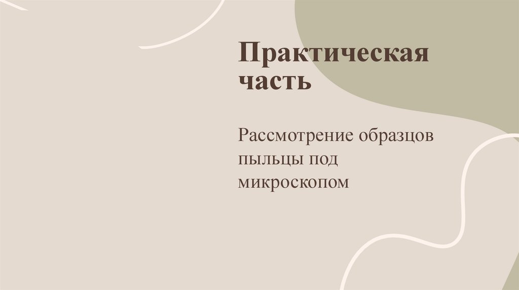 Практическая часть
