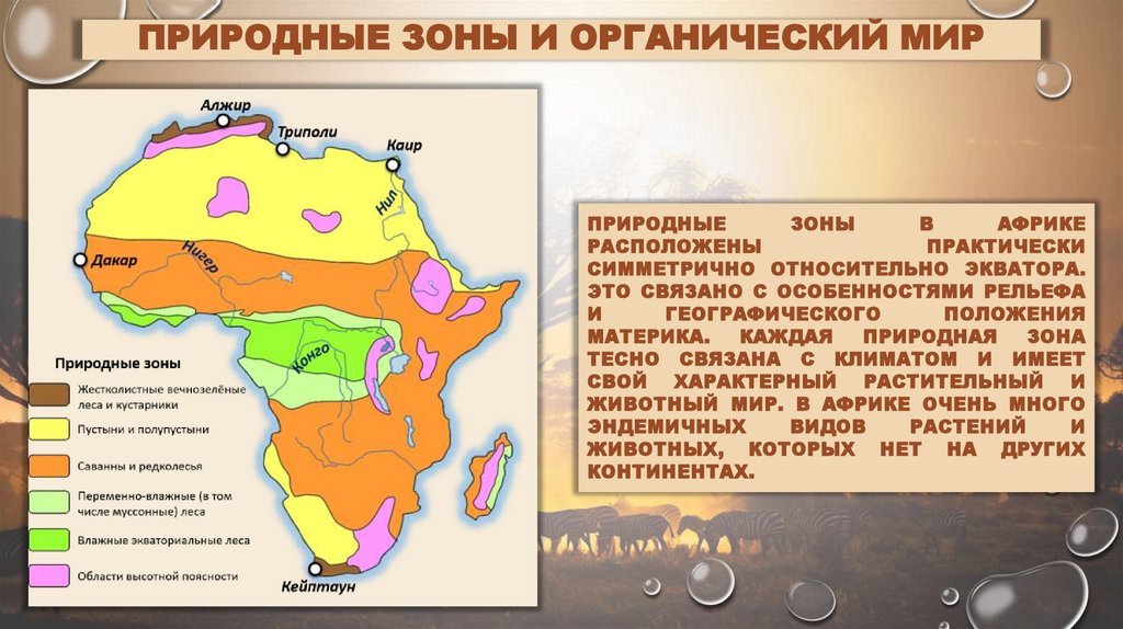 Природные зоны и органический мир