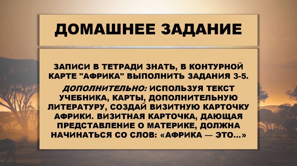 Домашнее задание