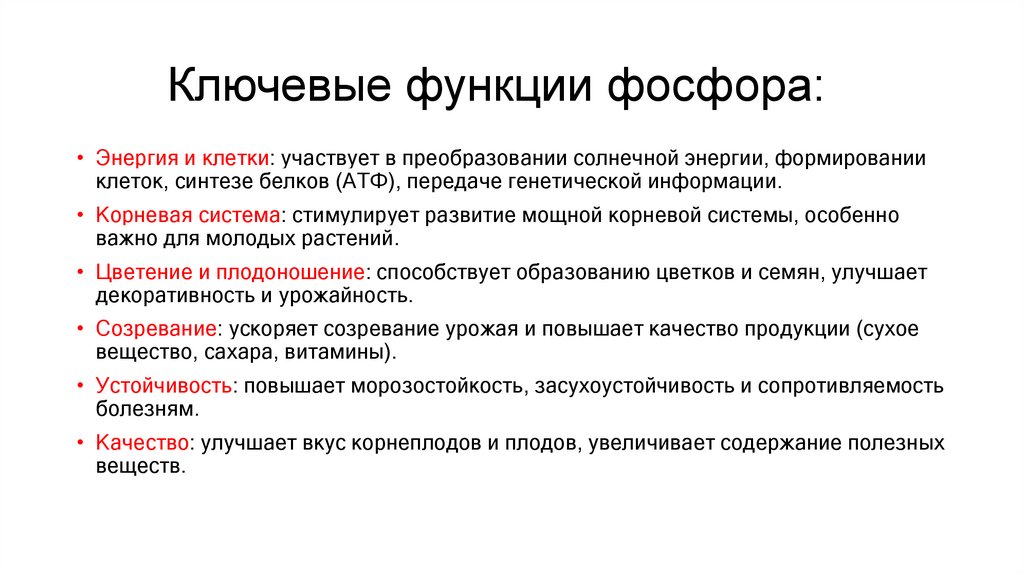 Ключевые функции фосфора:
