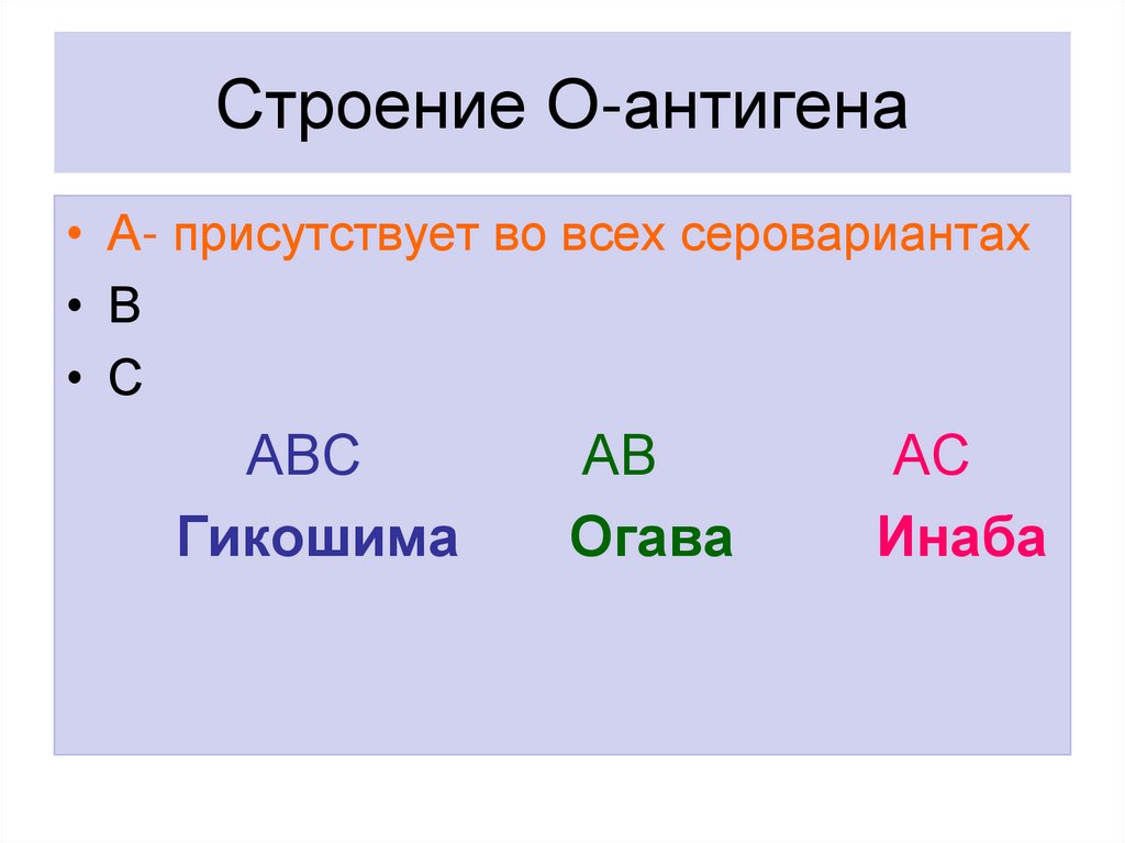 Строение О-антигена