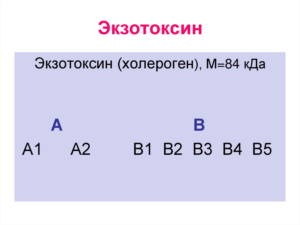 Экзотоксин