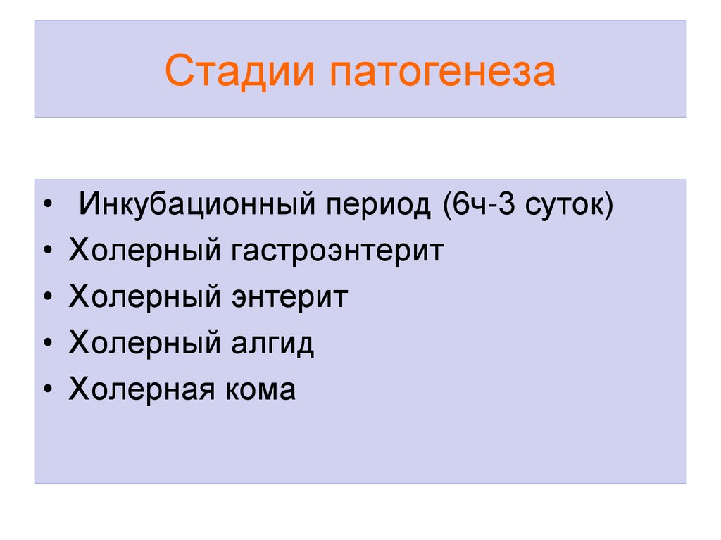 Стадии патогенеза