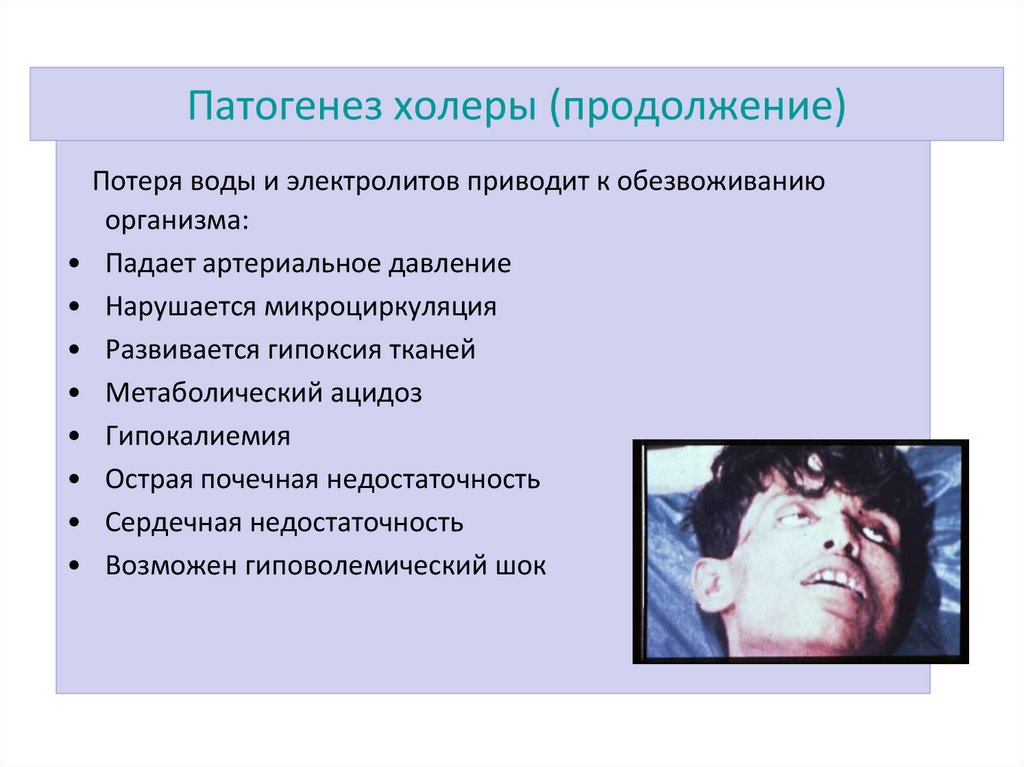 Патогенез холеры (продолжение)