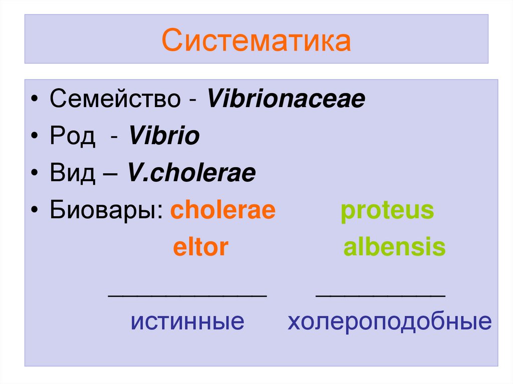 Систематика