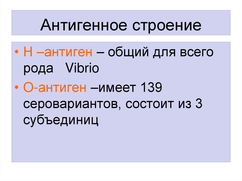 Антигенное строение