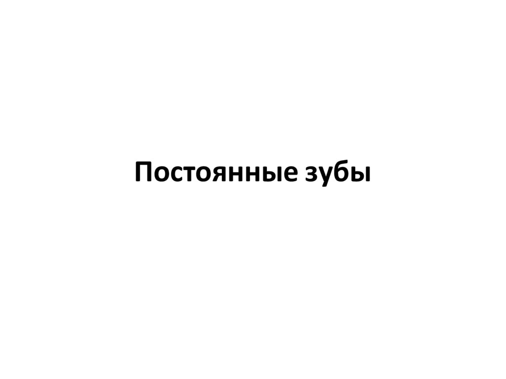 Постоянные зубы