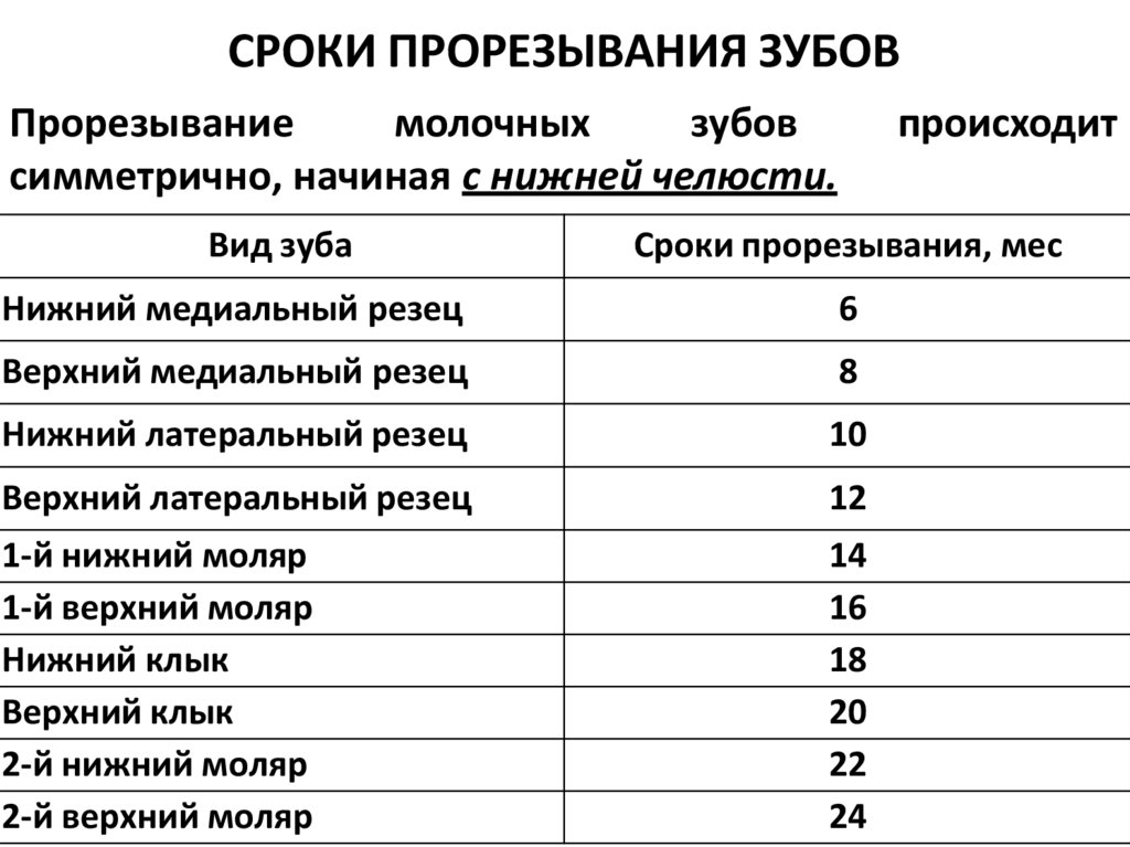 СРОКИ ПРОРЕЗЫВАНИЯ ЗУБОВ