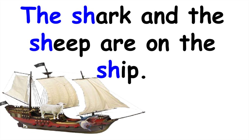The shark and the sheep are on the ship.