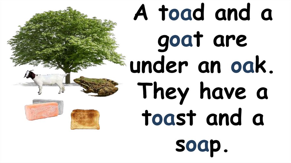 A toad and a goat are under an oak. They have a toast and a soap.