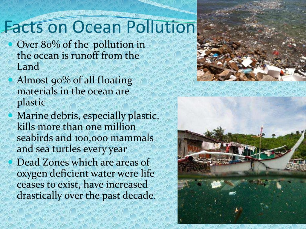 Facts on Ocean Pollution