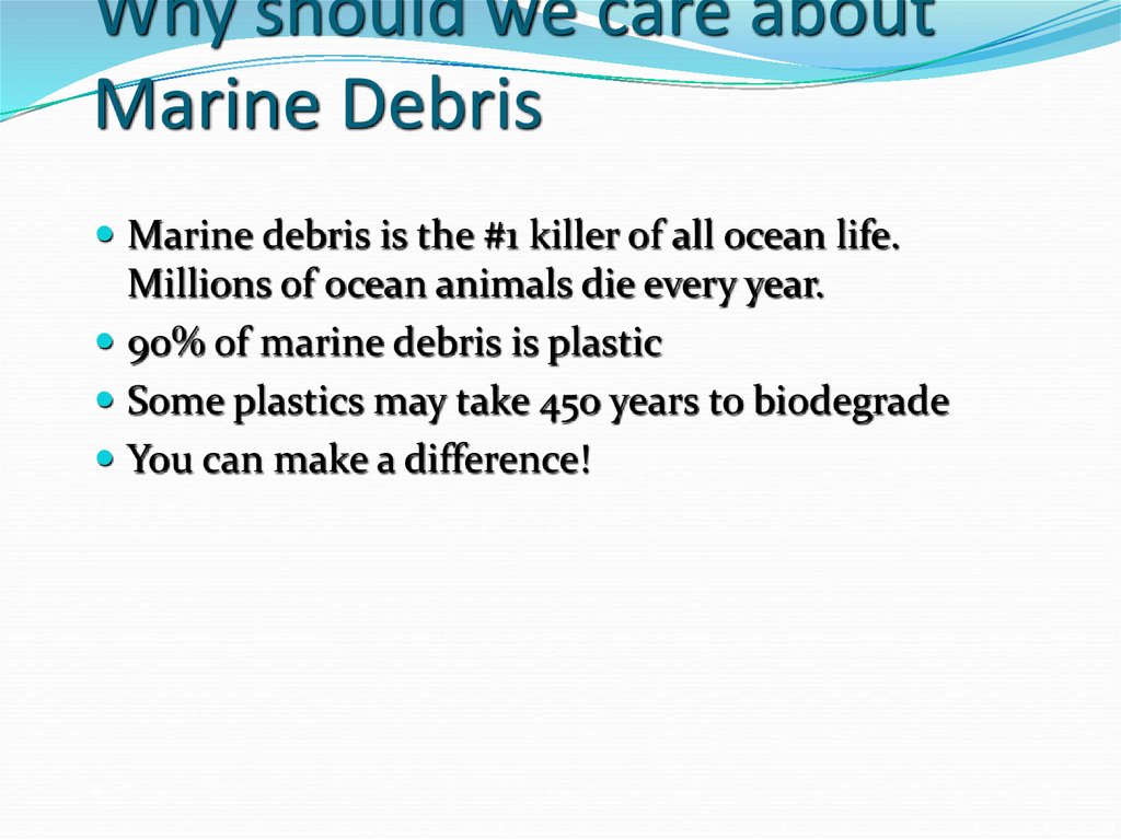 Why should we care about Marine Debris