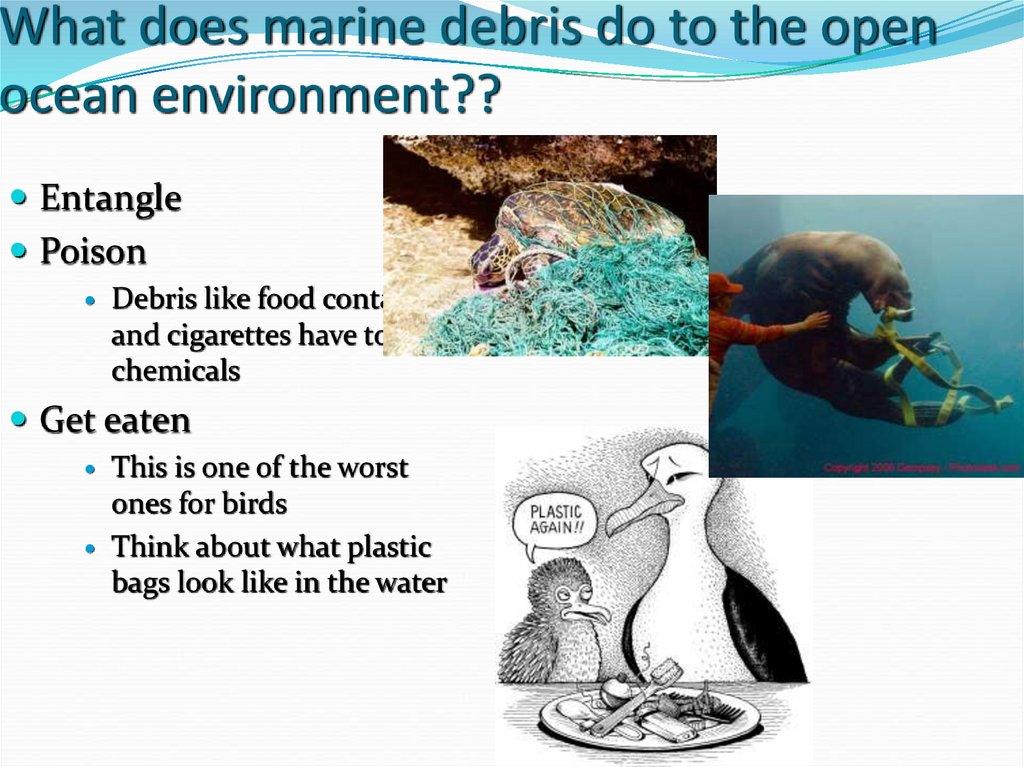 What does marine debris do to the open ocean environment??